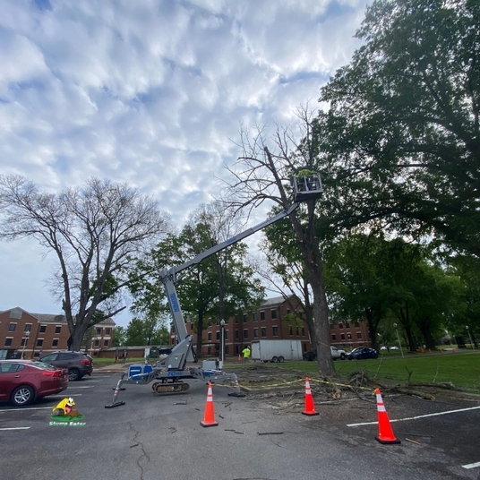 Stump Eater Tree Service Expands Service Areas in Rutherford County TN