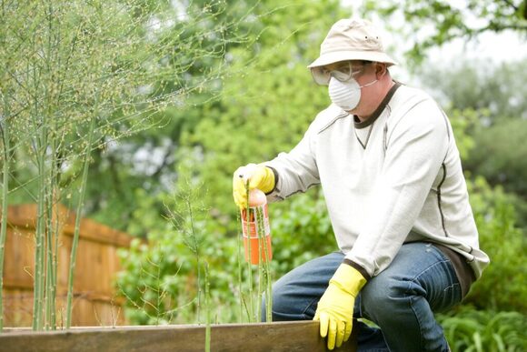 Pest Control Burleson Named One of the Top Pest Control Services in Burleson, TX