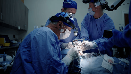 Pikos Institute Unveils Revamped Website for Dental Education in Florida