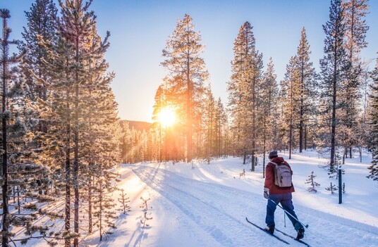 Northern Lights Travel Specialist, Baltic Travel Company, Explains the Growing Interest in Holidays Less Ordinary