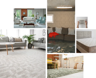 DHL Carpet & Water Damage Restoration Provide Mold Removal Services In New Jersey Area 