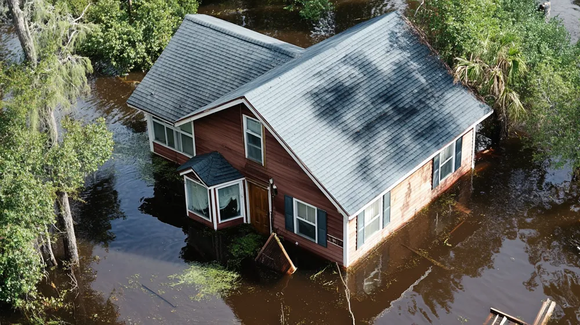 When Should You Call for Emergency Roof Services in Clearwater, FL? Steadfast Roofing Explains