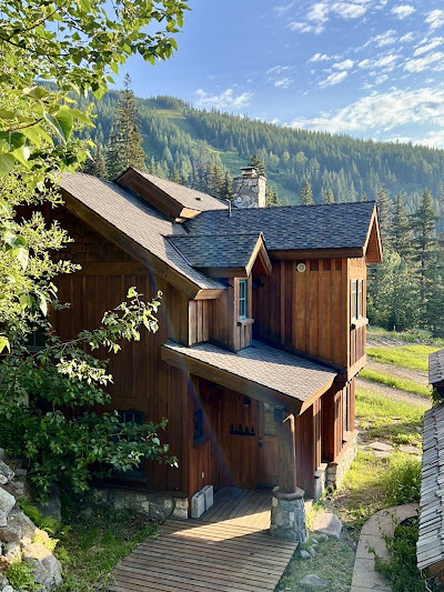 How to Repair Granular Loss on Roof Without Replacing: SkyRight Roofing and Gutters Explains