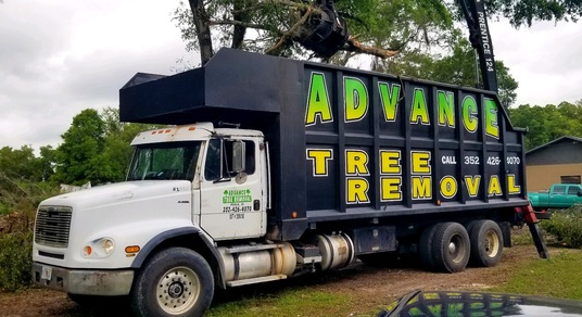 Advance Tree Removal LLC Completes 100-Day Storm Cleanup Mission in Pasco County