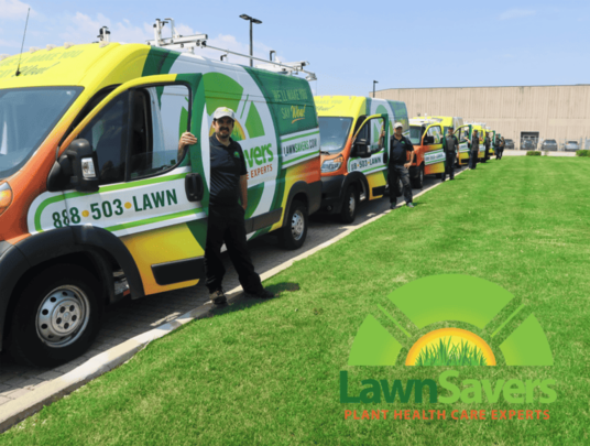 LawnSavers Voted Best Lawn Care Company in Toronto 12 Years in a Row