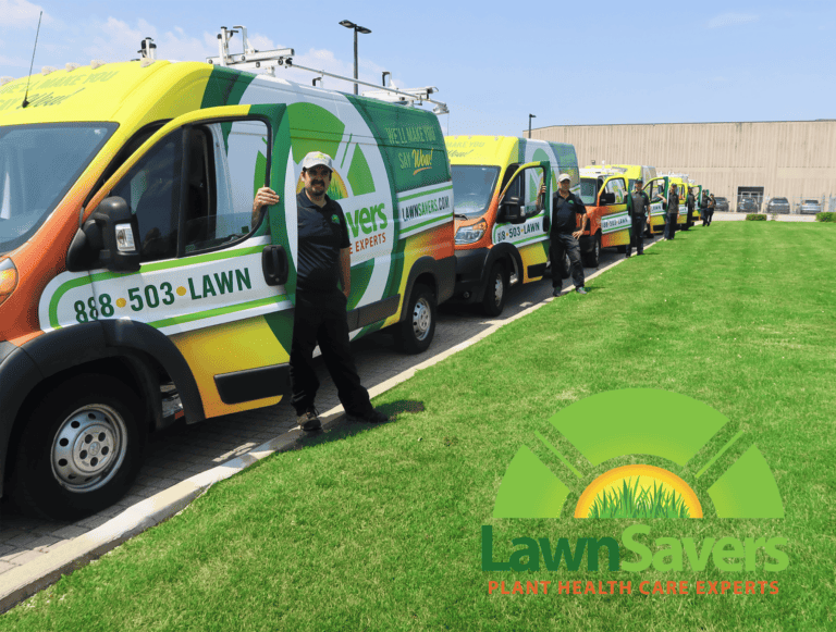 LawnSavers Voted Best Lawn Care Company in Toronto 12 Years in a Row