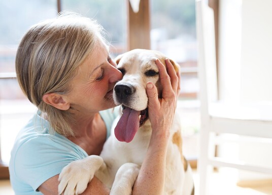 Exploring the Link Between Pet Care and Well-Being in Dementia Home Care Services