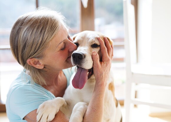 Exploring the Link Between Pet Care and Well-Being in Dementia Home Care Services
