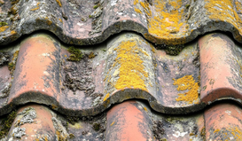 Top 7 Signs Your Roof Needs Immediate Repair (Before It’s Too Late)