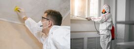 Mold Remediation Houston Heroes Analyze Market Trends in  Mold Removal