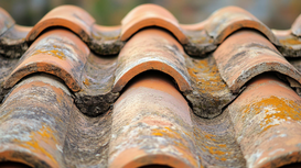 Tile Roof Maintenance in Orange County: What Every Homeowner Should Know