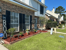 Cajun Country Lawn Care Updates  Local Lawn Strategies with Eco Trends