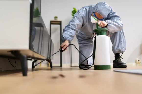 Bright and Rise Properties &amp; Pest Control Service: Abu Dhabi’s Trusted Partner for a Pest-Free Environment