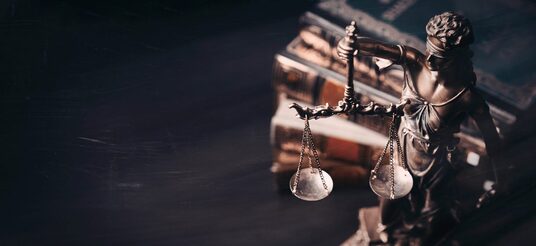 Law Office of Shane R. Kadlec Names Aya Abuhijleh Spring 2025 Public Service Scholarship Winner