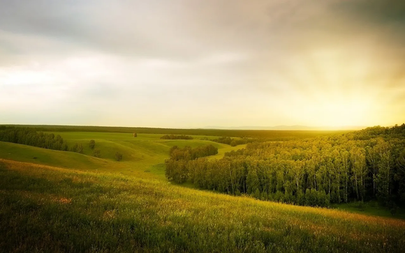  The BNG Guy Guides Developers in Making Space for Nature to Thrive