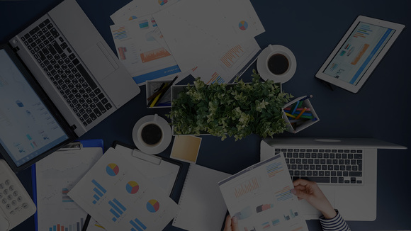 Catapultar Leads Google  Business Profile Optimization Trends  That Redefine Local SEO Success