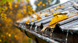 Stormwater Management and Metal Roofing: Preventing Drainage Issues at Home