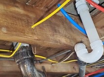 Elliot Environmental Celebrates 23 Years of Delivering Trusted Mold Remediation in Michigan