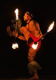 Polynesian Fire Luau Announces Grand Opening of New Orlando Location