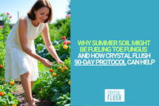 Crystal Flush Explains Why Summer Soil Might Be Fueling Toe Fungus and How Its 90-Day Protocol Can Help.