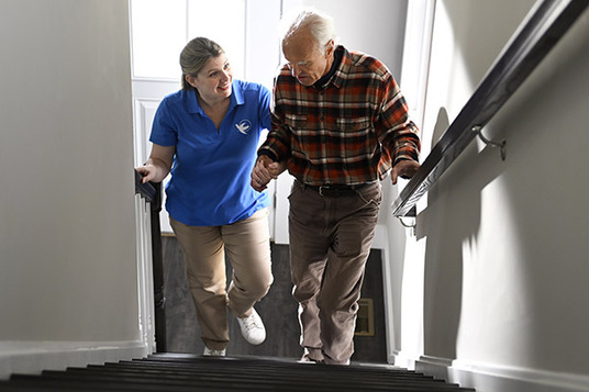 Visiting Angels Santa Cruz & Monterey Awarded Best Home Care Provider