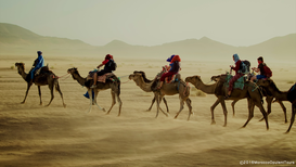 Morocco Excursions Travel and Tours Showcases Morocco’s Rich Cultural and Scenic Experiences 