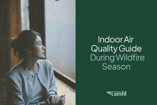 Air Filters For Wildfire Smoke: Protect Your Lungs:  Camfil’s Guide to Indoor Air Quality During Wildfire Season
