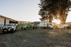  Mr Lumberjack Extends  Tree Removal Services to Sunbury,  Melton, and the Macedon Ranges
