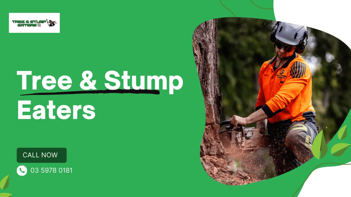 Tree &amp; Stump Eaters Relaunches Website to Simplify Arborist Services in Mornington Peninsula