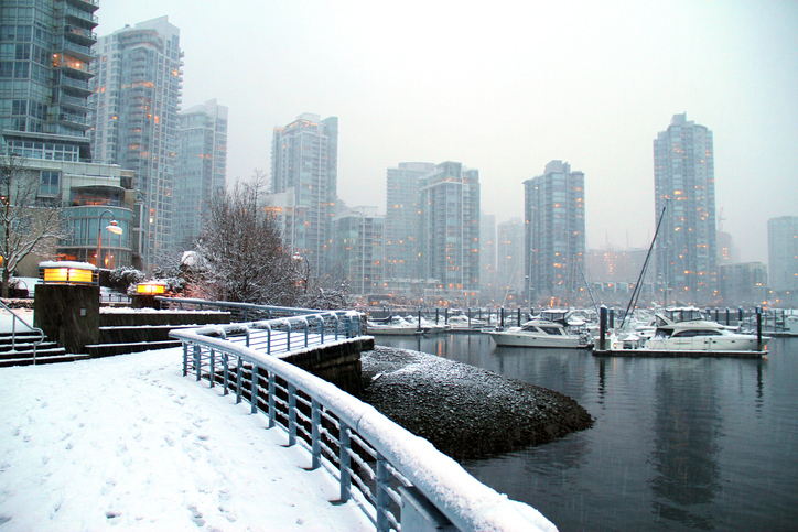 Metro Vancouver Snowy Day