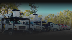 United Tree Service Expands Superior Tree Removal and Trimming Services to Ohio and Florida’s Treasure Coast