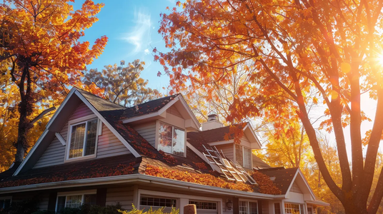 Is Your Roof Ready for Tree Debris? Seasonal Maintenance Checklist