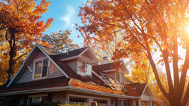 Is Your Roof Ready for Tree Debris? Seasonal Maintenance Checklist