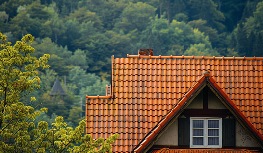 Eco-Friendly Roofing: Sustainable Materials Worth Considering