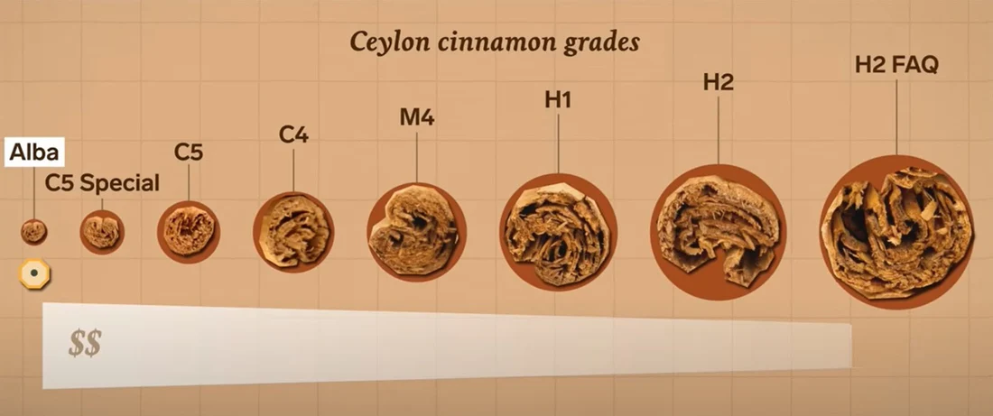 DRUERA Brings Authentic Alba Ceylon Cinnamon to the US and Raises Awareness of the World’s Purest Spice