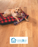 Floors2Day Unveils New Digital Platform as Leading Flooring Store Annapolis Customers Trust