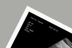 Fake Pregnancy Pranks Spark 75,000 Sales Creating a Million Dollar Trend