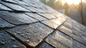 How Moisture Build-Up in Attics Can Undermine Your Roofing Investment