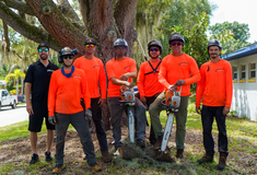 Ranger Tree Care LLC Launches Holiday Tree Care Giveaway for a Local Family in Need