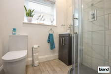 Biand Bathrooms Unleashes Breakthrough Trends Reshaping Local Bathroom Transformations