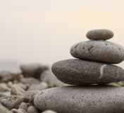 Grow Your Mind Psychotherapy Unveils Expansion & Approach to Mental Wellness