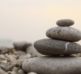 Grow Your Mind Psychotherapy Unveils Expansion & Approach to Mental Wellness