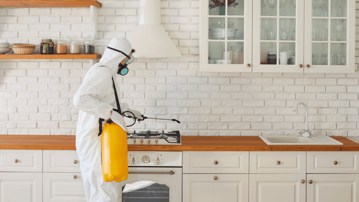 Exterminator Pittsburgh Launches New Website to Expand Access to Pest Control Services Across the Pittsburgh Region