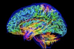 She Runs Security Audits at 1:15 AM. She Built an App in 60 Seconds. She Doesn't Sleep.