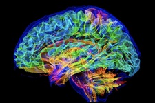 She Runs Security Audits at 1:15 AM. She Built an App in 60 Seconds. She Doesn't Sleep.