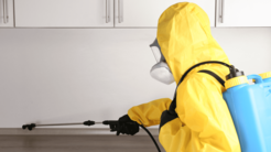 Exterra Pest Launches Official Website for Pest Control Services in Washington, DC