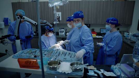 Pikos Institute Founder Dr. Michael A. Pikos to Lecture at 2026 Osteogenics Symposium