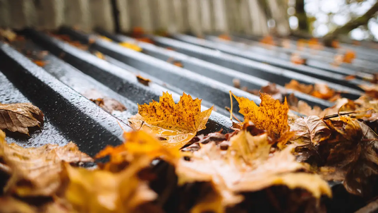 Metal Roof Cincinnati Industry Analysis on Leaf Debris, Drainage Performance, and Metal Roof Maintenance in Tree-Lined Neighborhoods