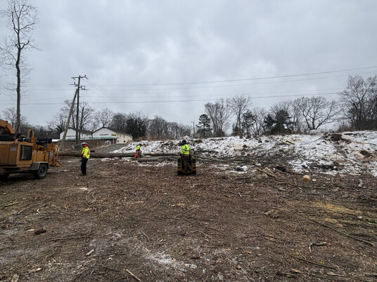 United Tree Care Opens New Manassas, VA Location to Expand Tree Care Services Across Northern Virginia