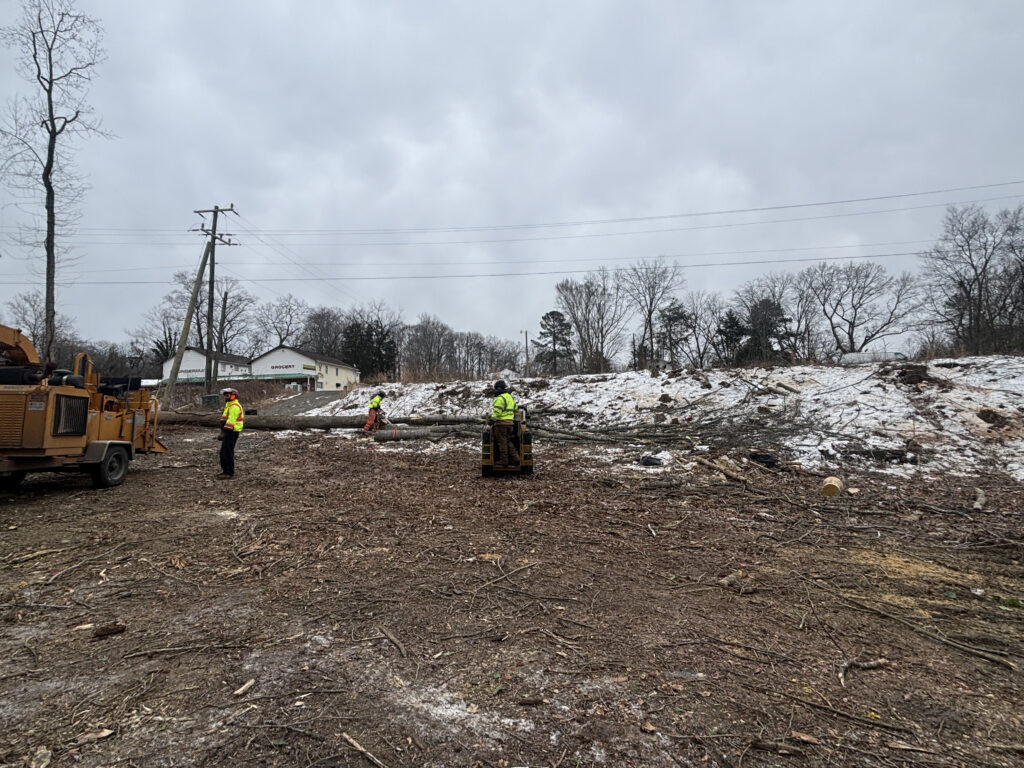 United Tree Care Opens New Manassas, VA Location to Expand Tree Care Services Across Northern Virginia